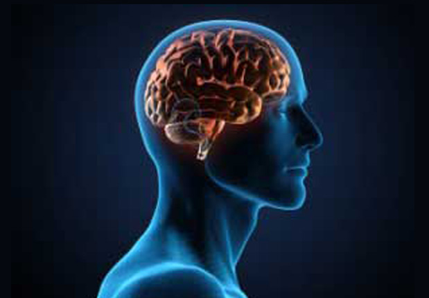 Mid Brain Engineering